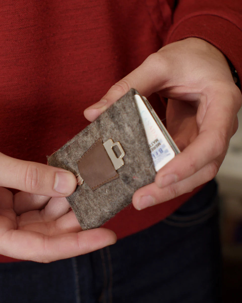 The Card Wallet PDF